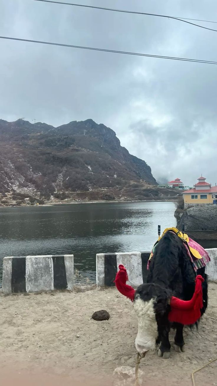 Sikkim package (gangtok and pelling)