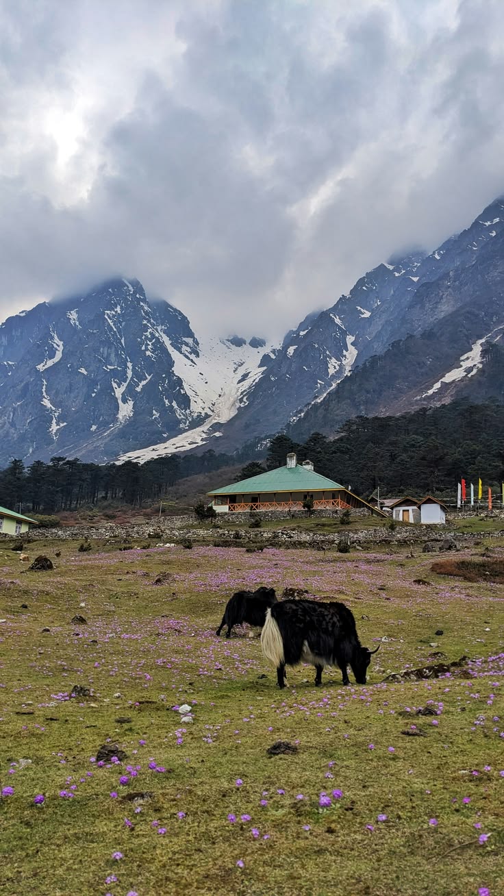 Full pacakge sikkim